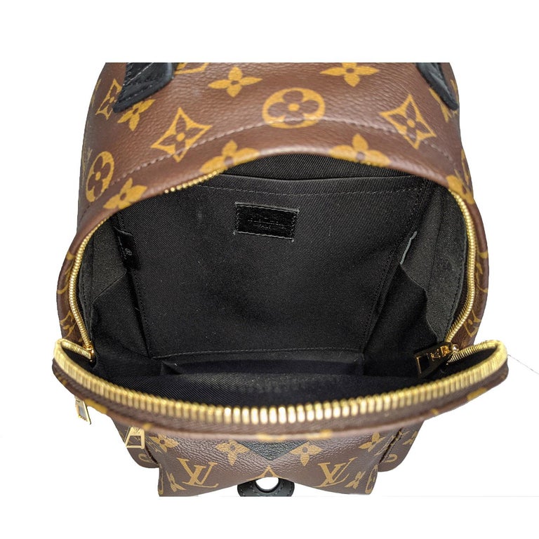 Louis Vuitton Monogram Palm Springs Backpack PM at 1stDibs