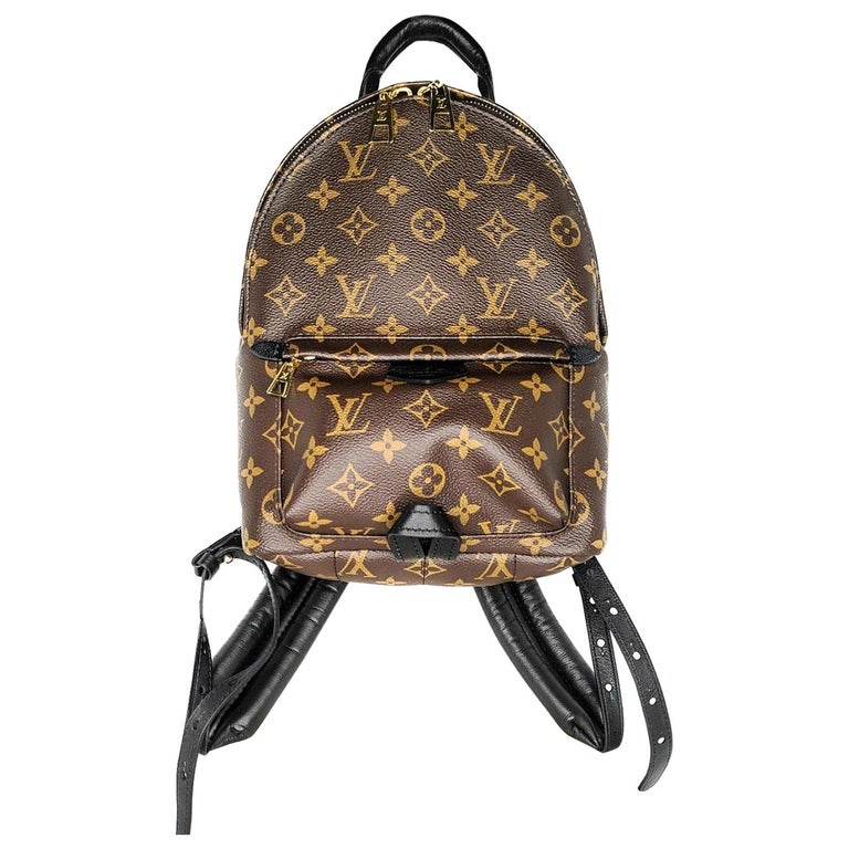 Louis Vuitton Monogram Palm Springs Backpack PM at 1stDibs