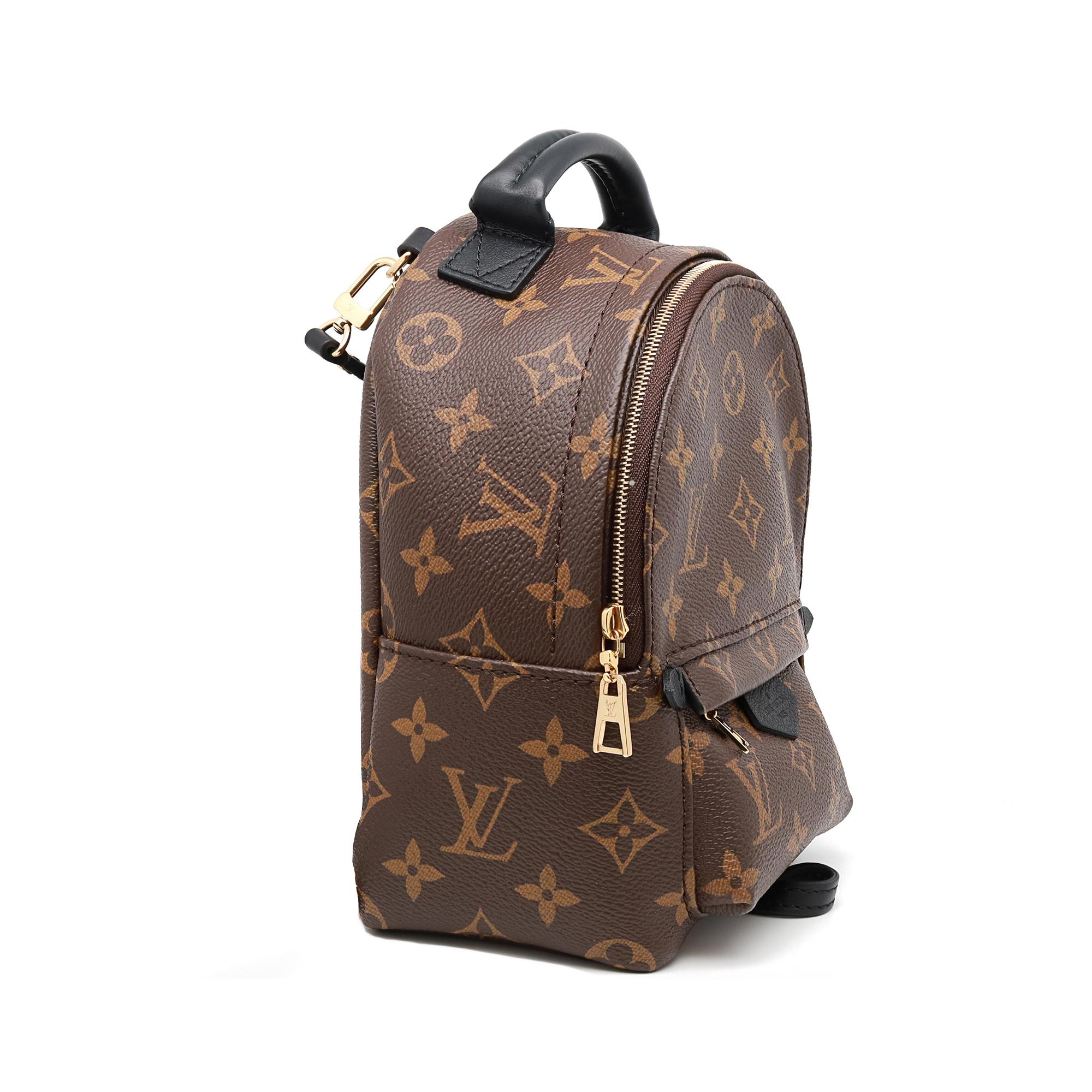 Noir Louis Vuitton Monogram Palm Springs Brown Mini Backpack en vente