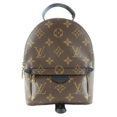 Louis Vuitton - Mini sac à dos Palm Springs avec monogramme 3LK0216