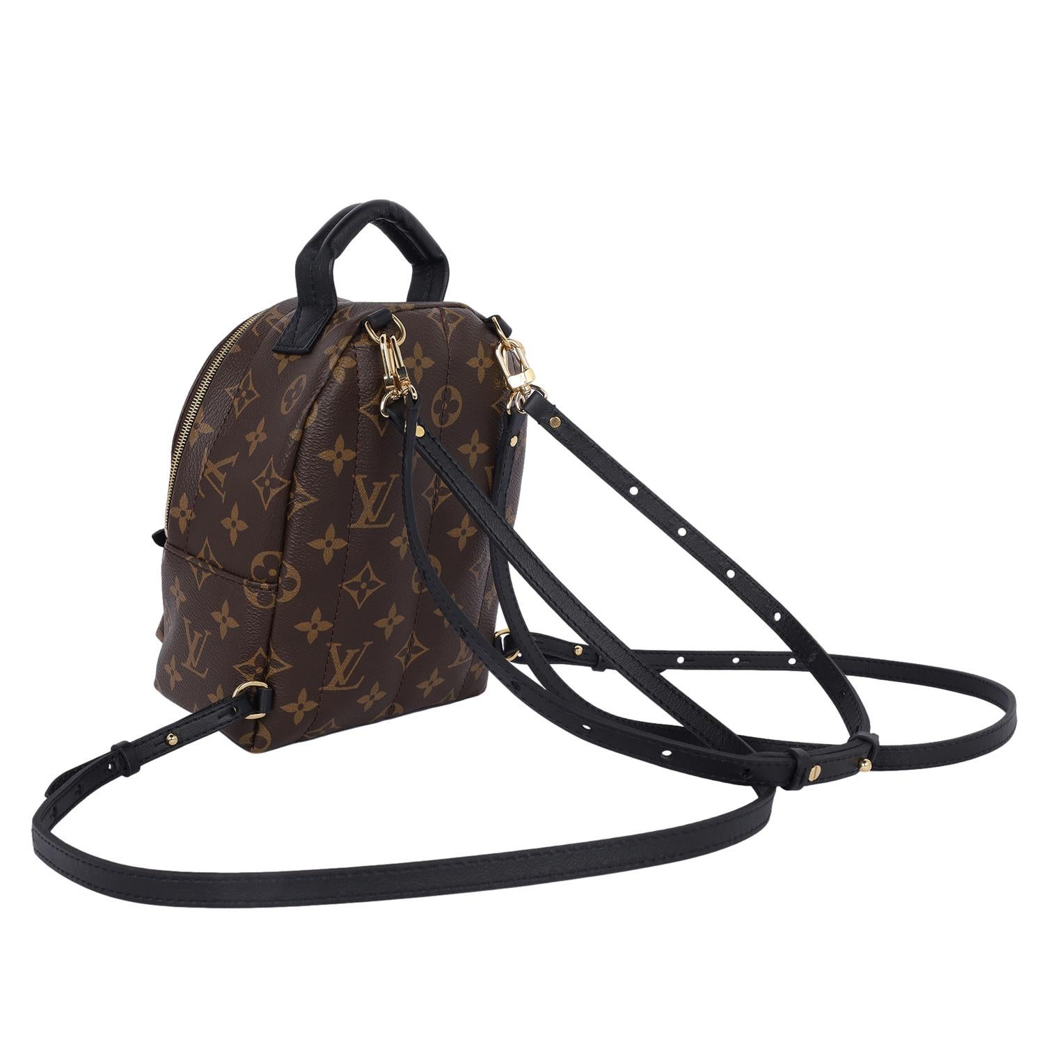 Louis Vuitton Monogram Palm Springs Mini Backpack Brown 5