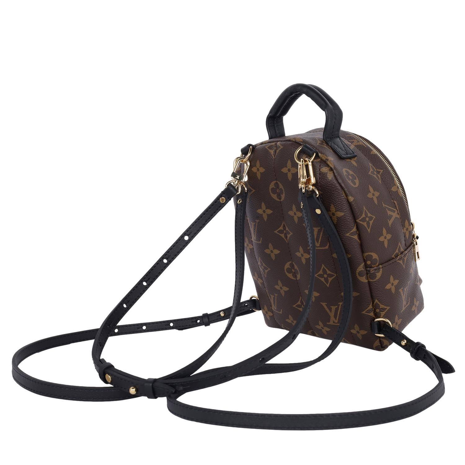 Louis Vuitton Monogram Palm Springs Mini Backpack Brown 6