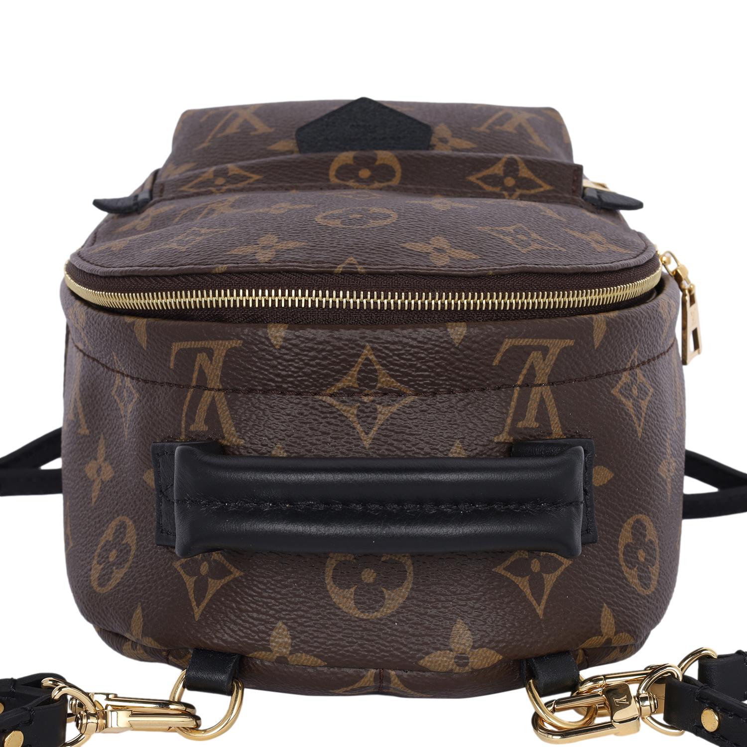 Louis Vuitton Monogram Palm Springs Mini Backpack Brown 7