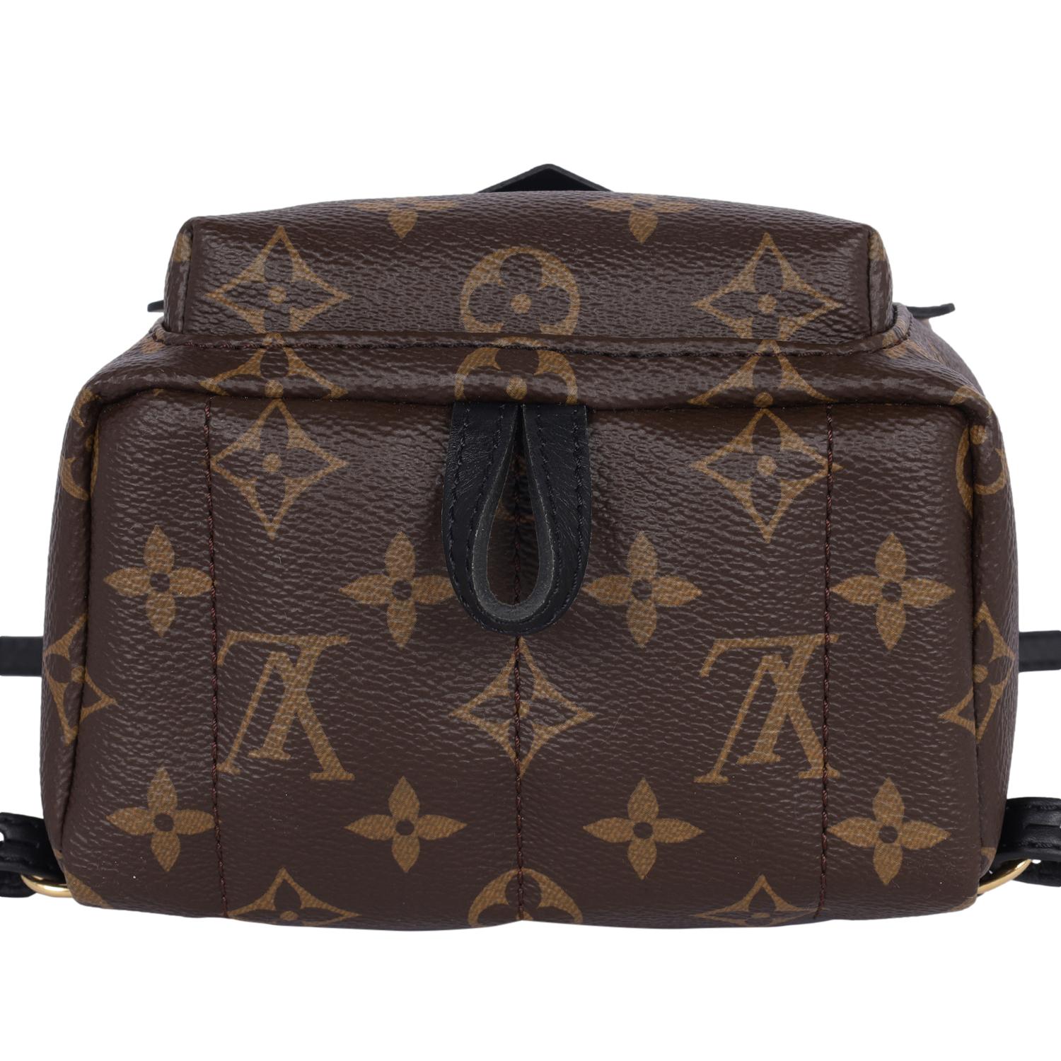Louis Vuitton Monogram Palm Springs Mini Backpack Brown 8