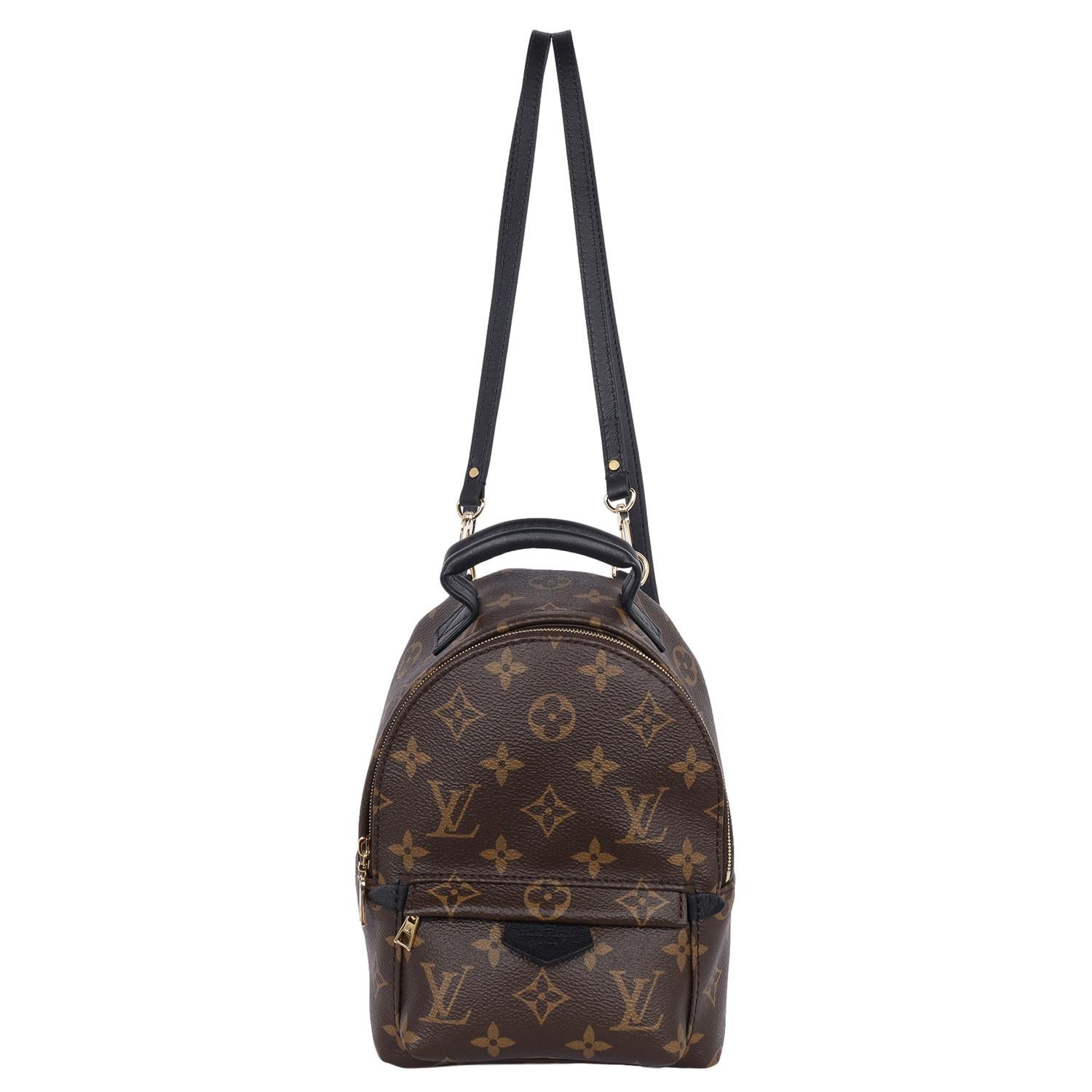 Black Louis Vuitton Monogram Palm Springs Mini Backpack Brown
