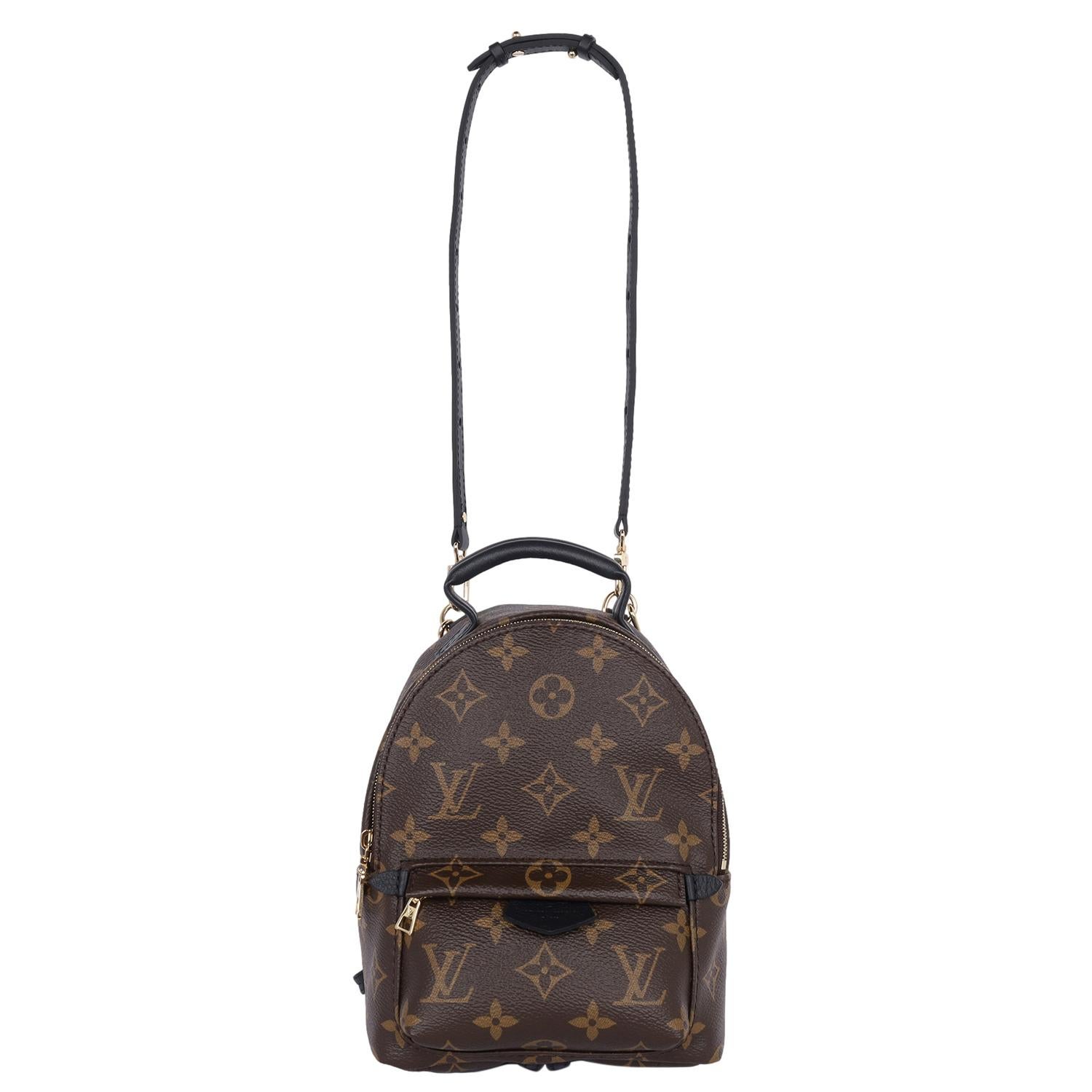 Women's Louis Vuitton Monogram Palm Springs Mini Backpack Brown