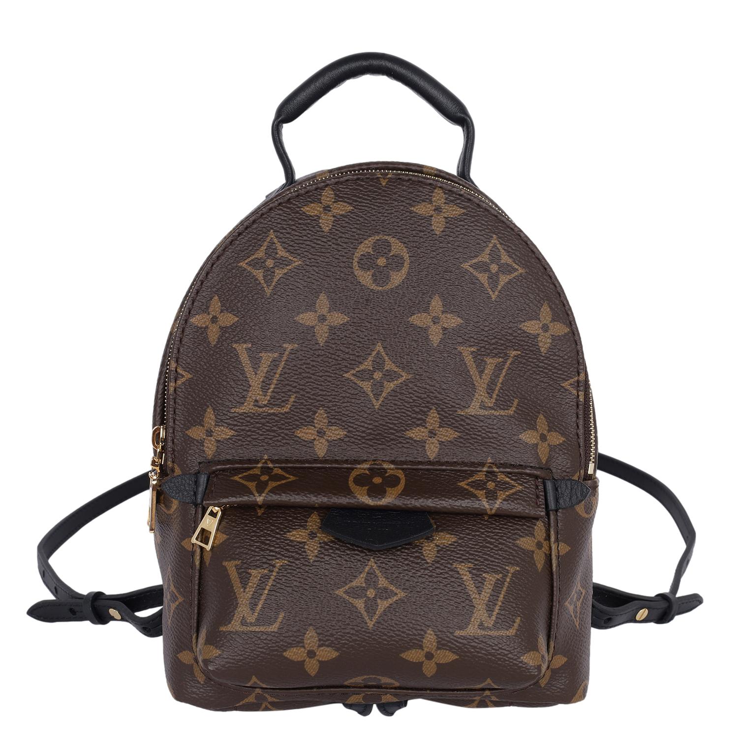 Louis Vuitton Monogram Palm Springs Mini Backpack Brown 1