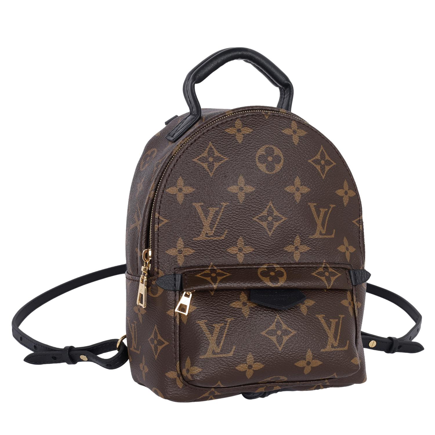 Louis Vuitton Monogram Palm Springs Mini Backpack Brown 2