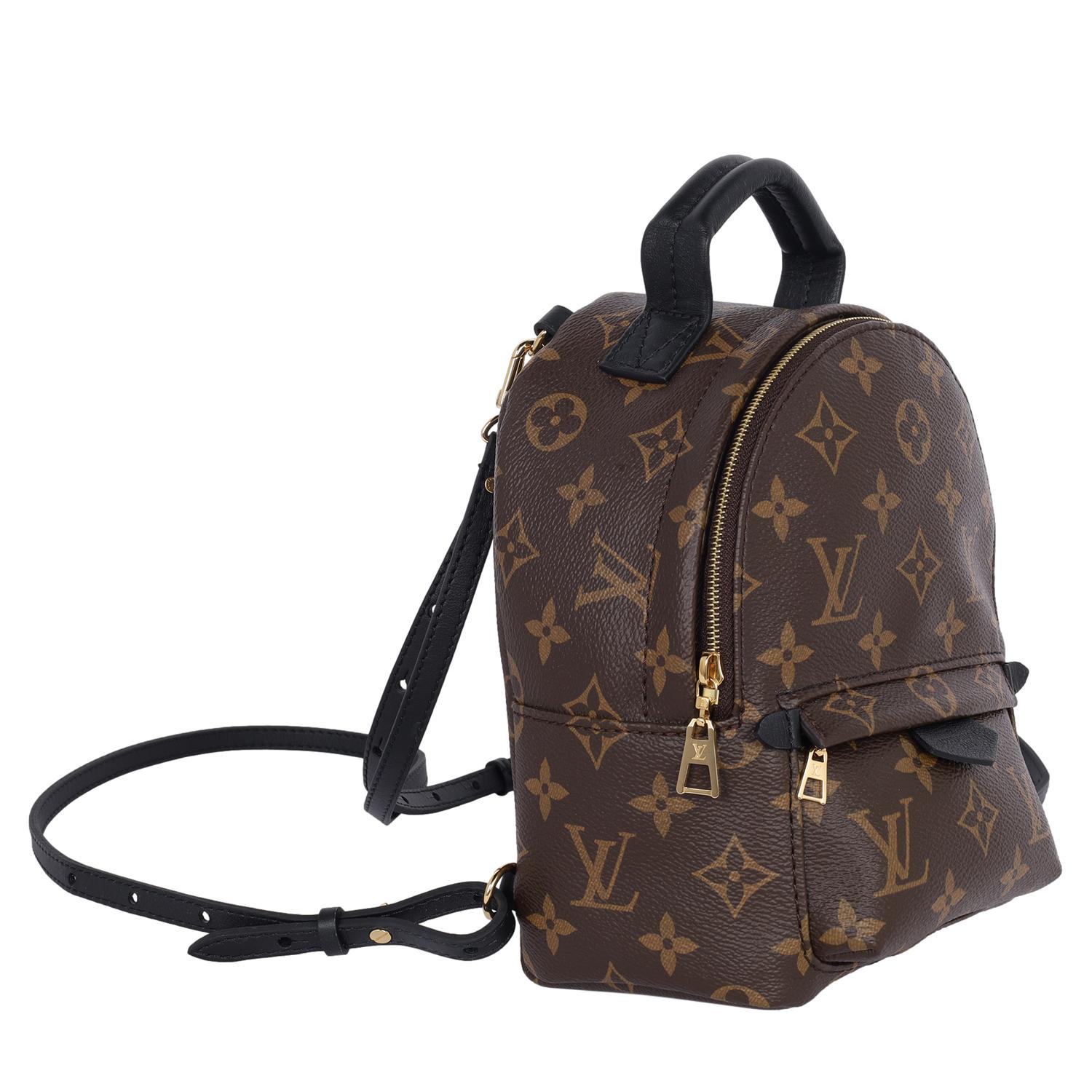 Louis Vuitton Monogram Palm Springs Mini Backpack Brown 3