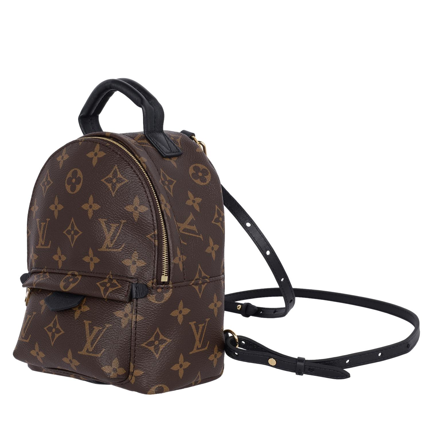 Louis Vuitton Monogram Palm Springs Mini Backpack Brown 4