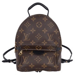 Louis Vuitton Monogram Palm Springs Mini Backpack Brown