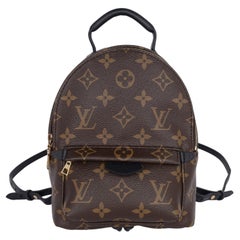 Louis Vuitton Monogram Palm Springs Mini-Rucksack Brown