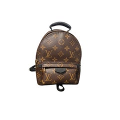 Louis Vuitton Monogram Palm Springs Mini Backpack