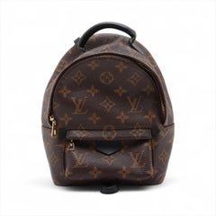 Louis Vuitton Monogram Palm Springs Mini Backpack
