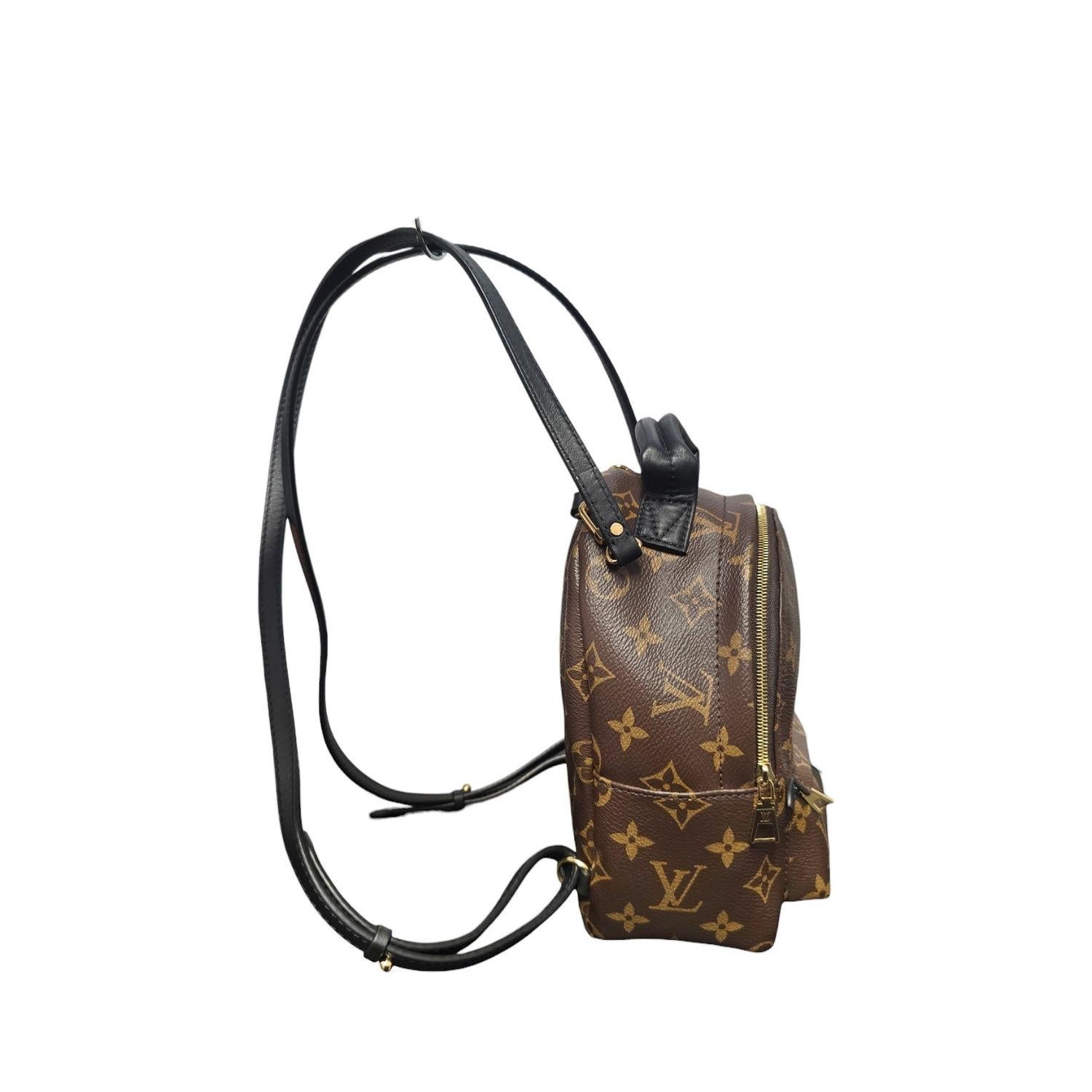Marron Mini sac à dos Louis Vuitton Monogram Palm Springs en vente