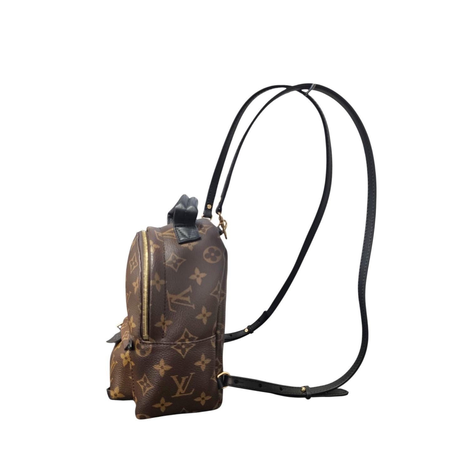 Mini sac à dos Louis Vuitton Monogram Palm Springs Excellent état - En vente à Scottsdale, AZ