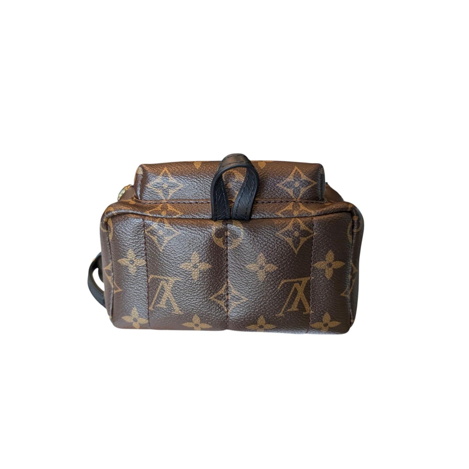 Mini sac à dos Louis Vuitton Monogram Palm Springs en vente 1