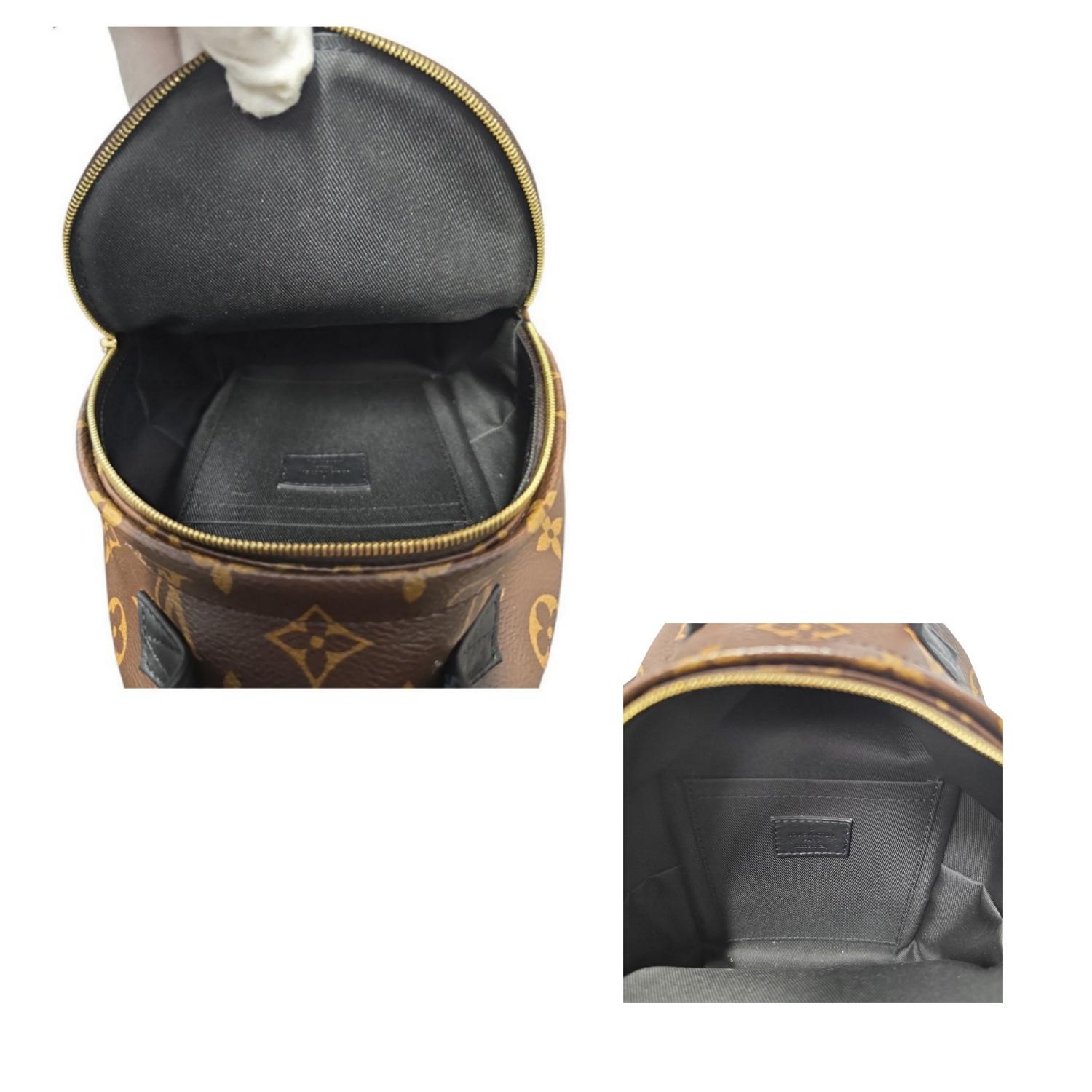 Mini sac à dos Louis Vuitton Monogram Palm Springs en vente 2