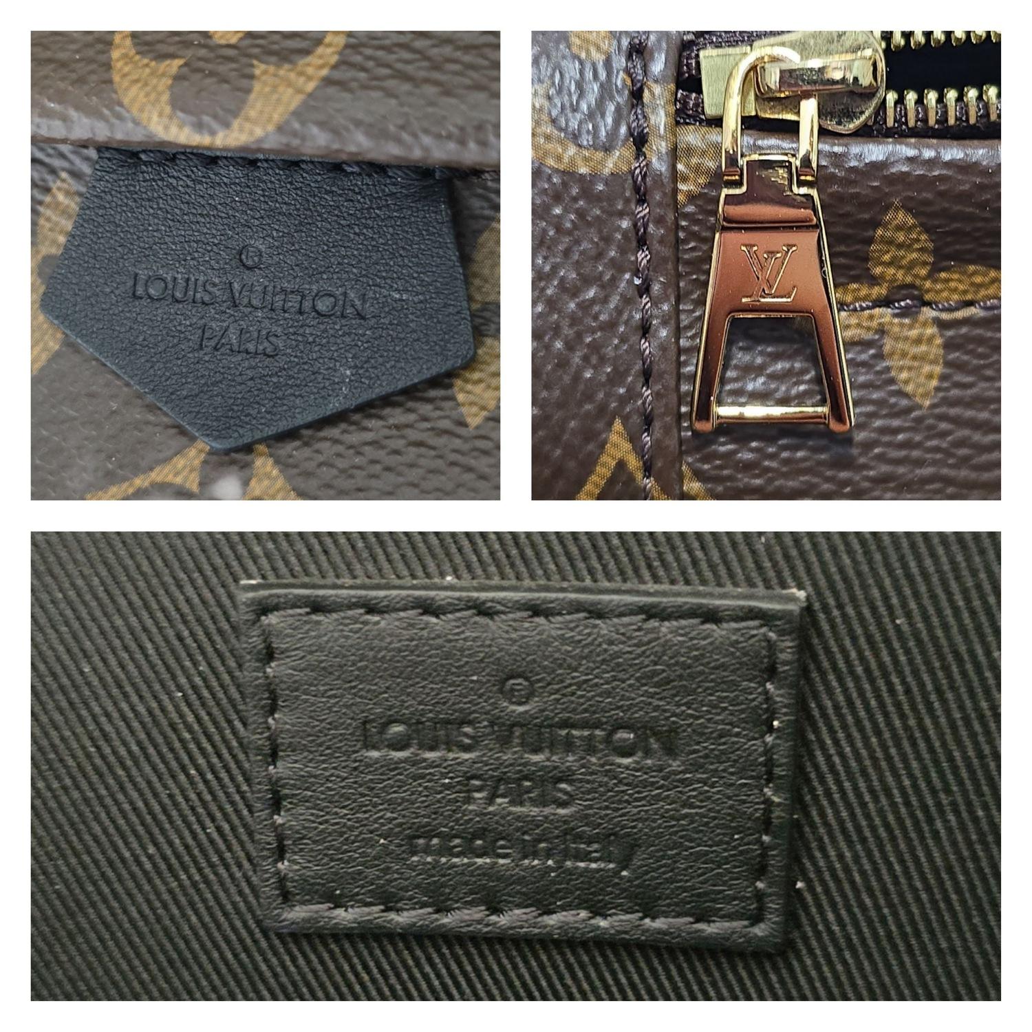 Mini sac à dos Louis Vuitton Monogram Palm Springs en vente 3