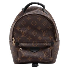 Louis Vuitton Monogram Palm Springs Mini Backpack