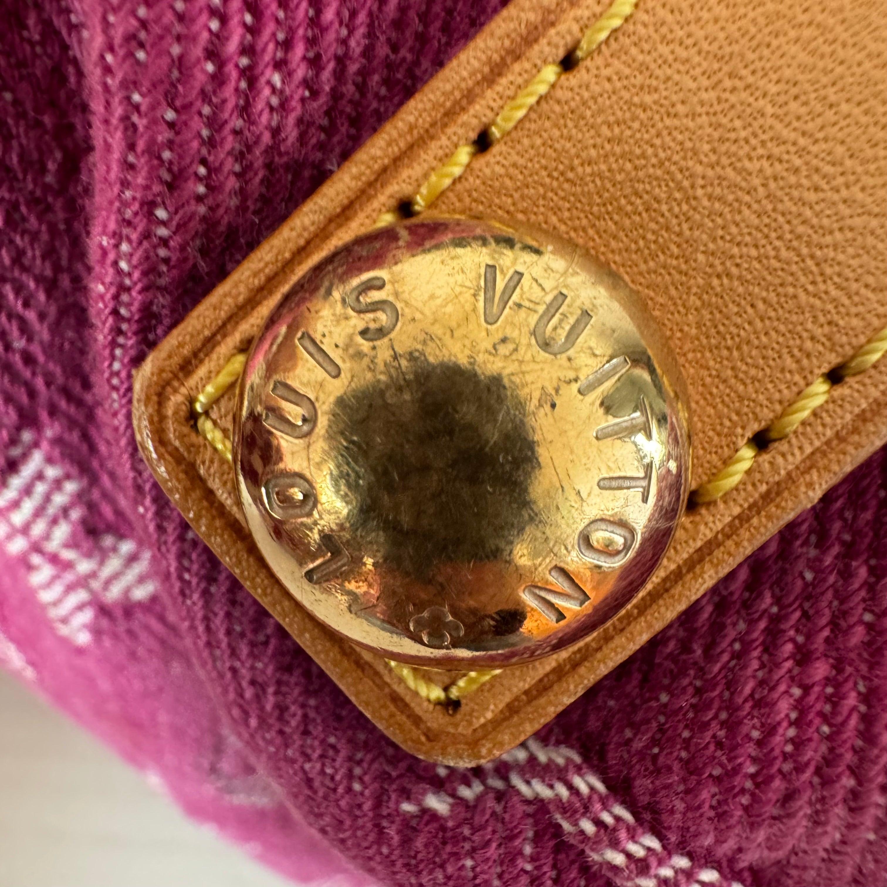 Louis Vuitton Monogram Pink Denim Baggy PM Shoulder Bag 4