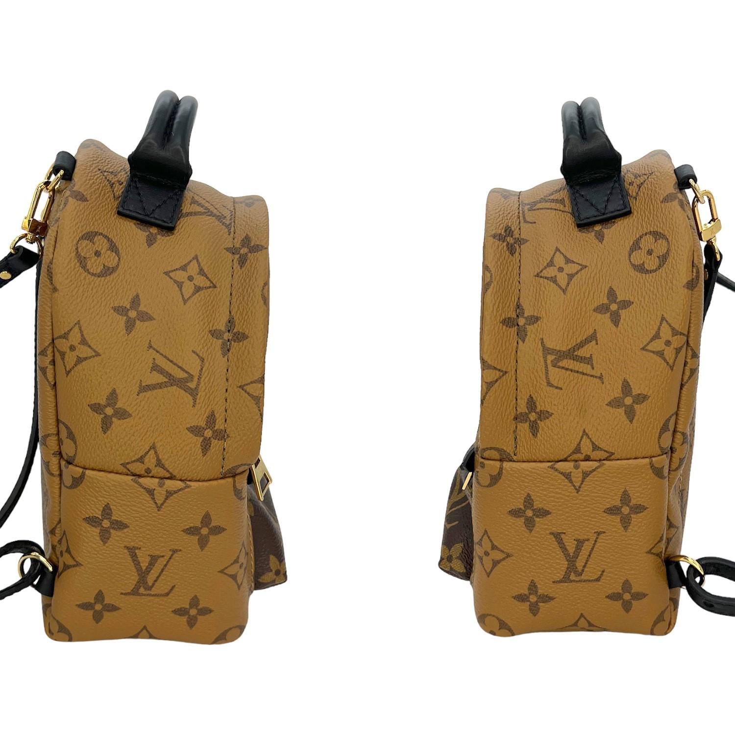 Women's or Men's Louis Vuitton Monogram Reverse Mini Palm Springs Backpack