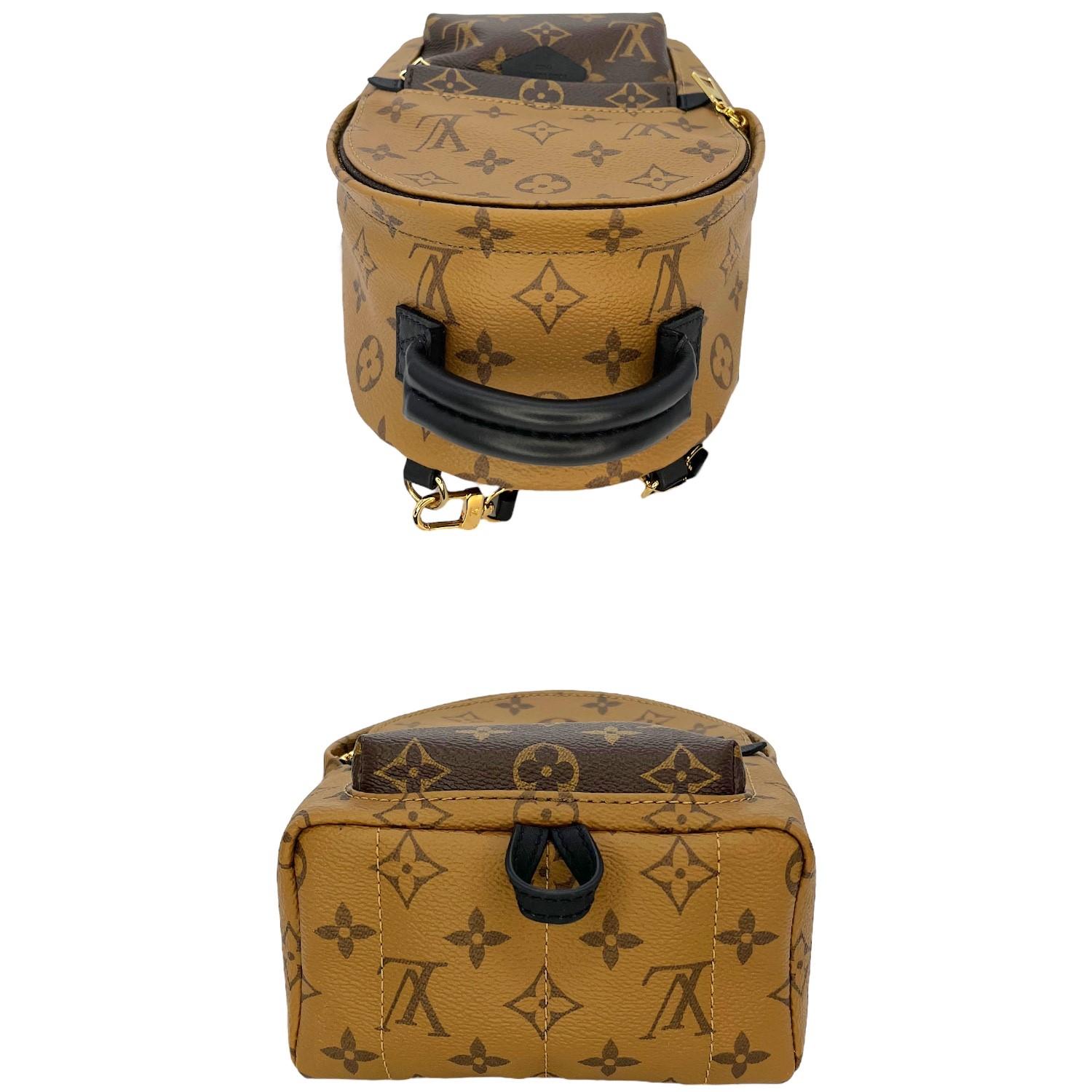 Louis Vuitton Monogram Reverse Mini Palm Springs Backpack 1