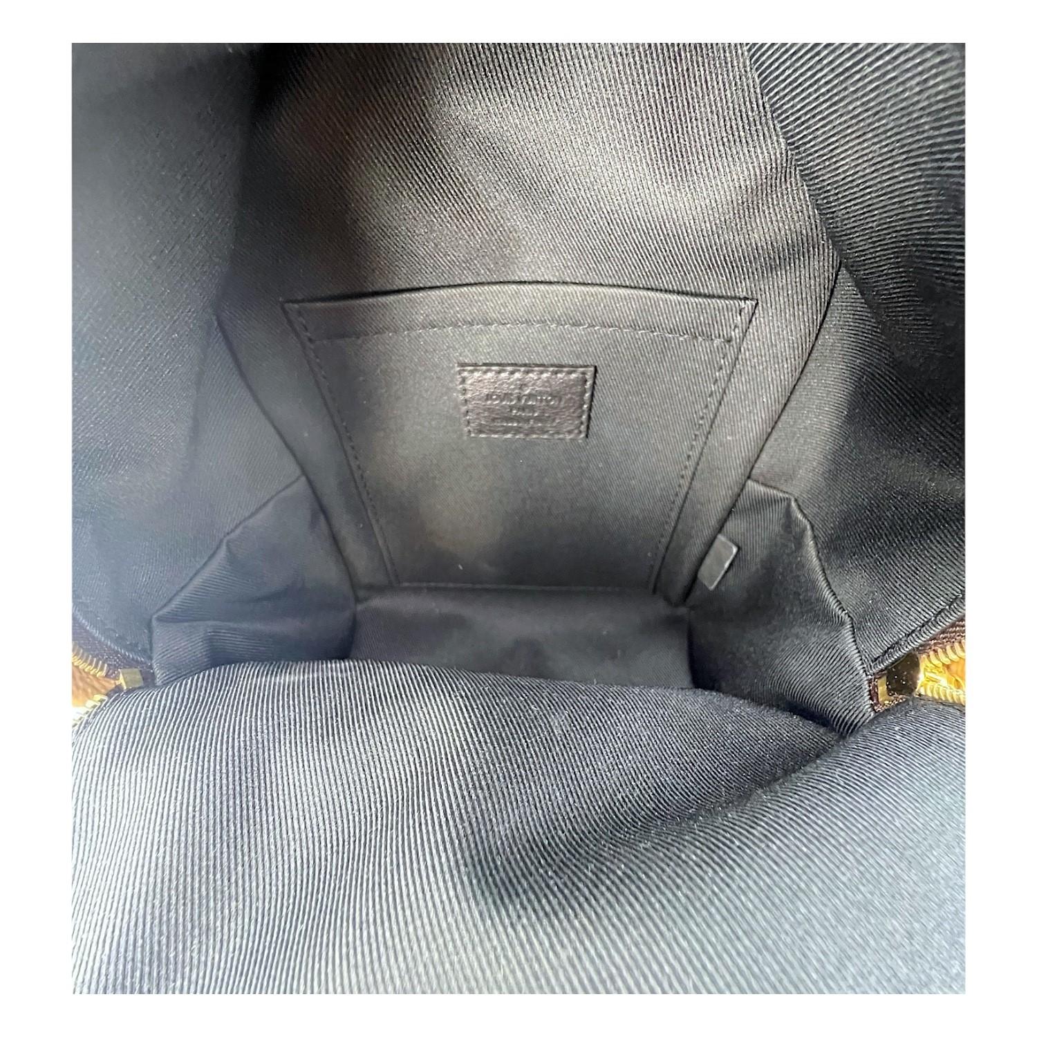 Louis Vuitton Monogram Reverse Mini Palm Springs Backpack 2