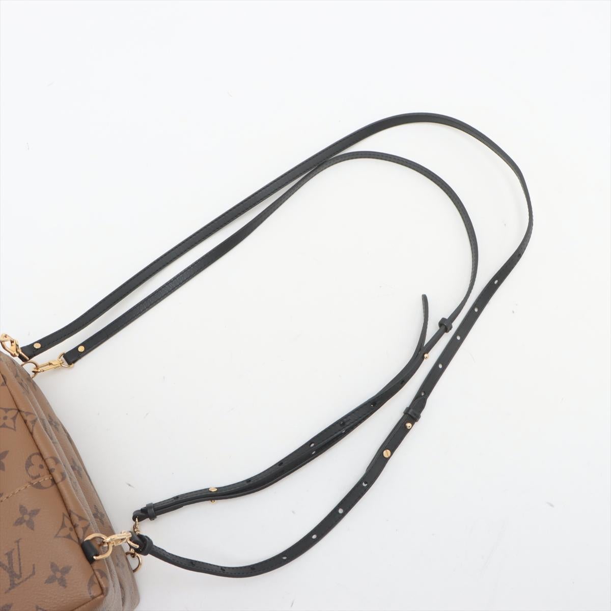 Louis Vuitton Monogram Reverse Mini Palm Springs Backpack For Sale 2