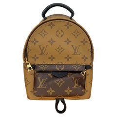 Louis Vuitton Monogrammierter umgekehrter Mini Palm Springs Rucksack