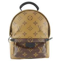 Louis Vuitton Monogram Reverse Palm Springs Mini Backpack 9LVJ1118