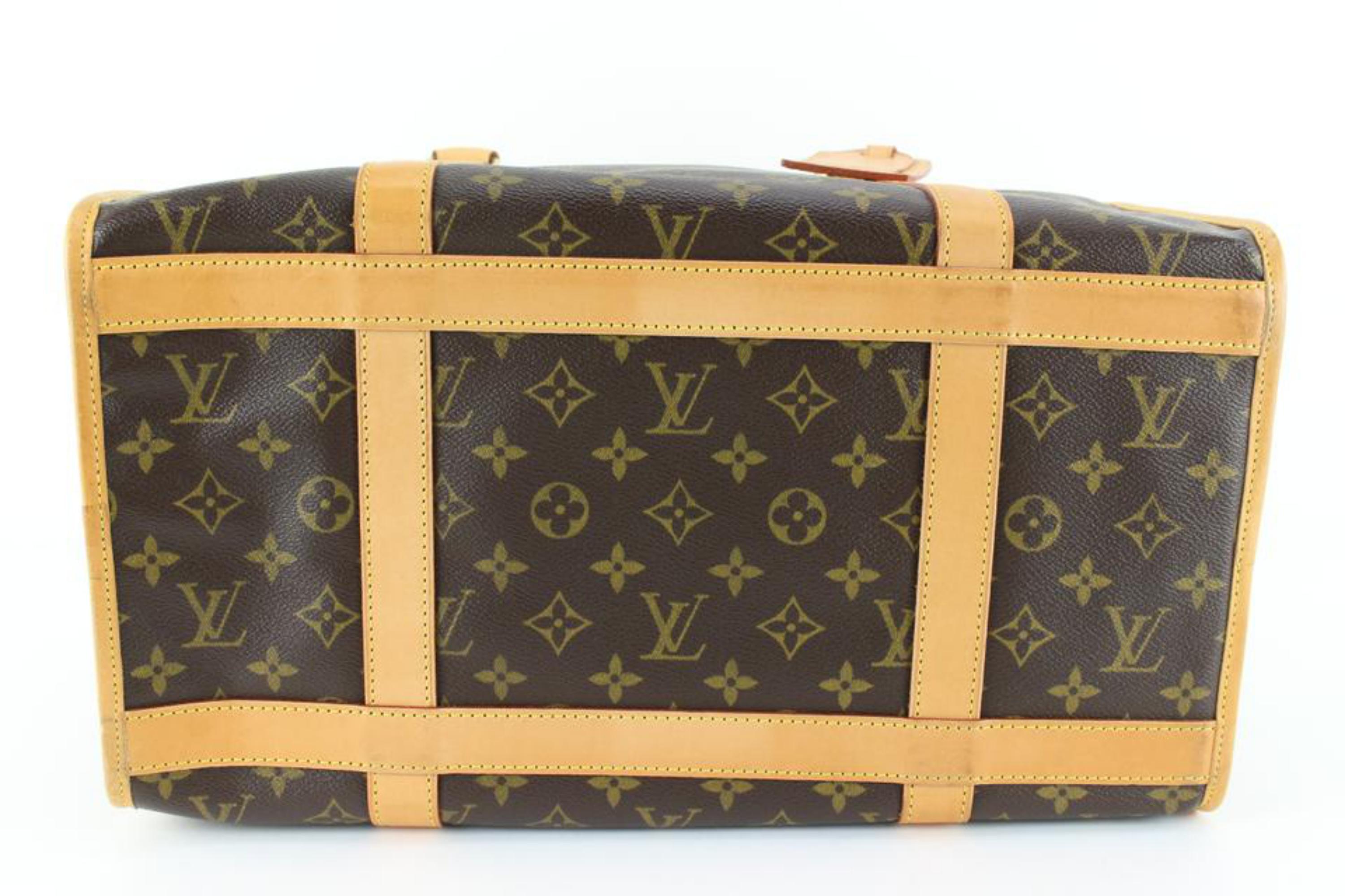 lv pet bag