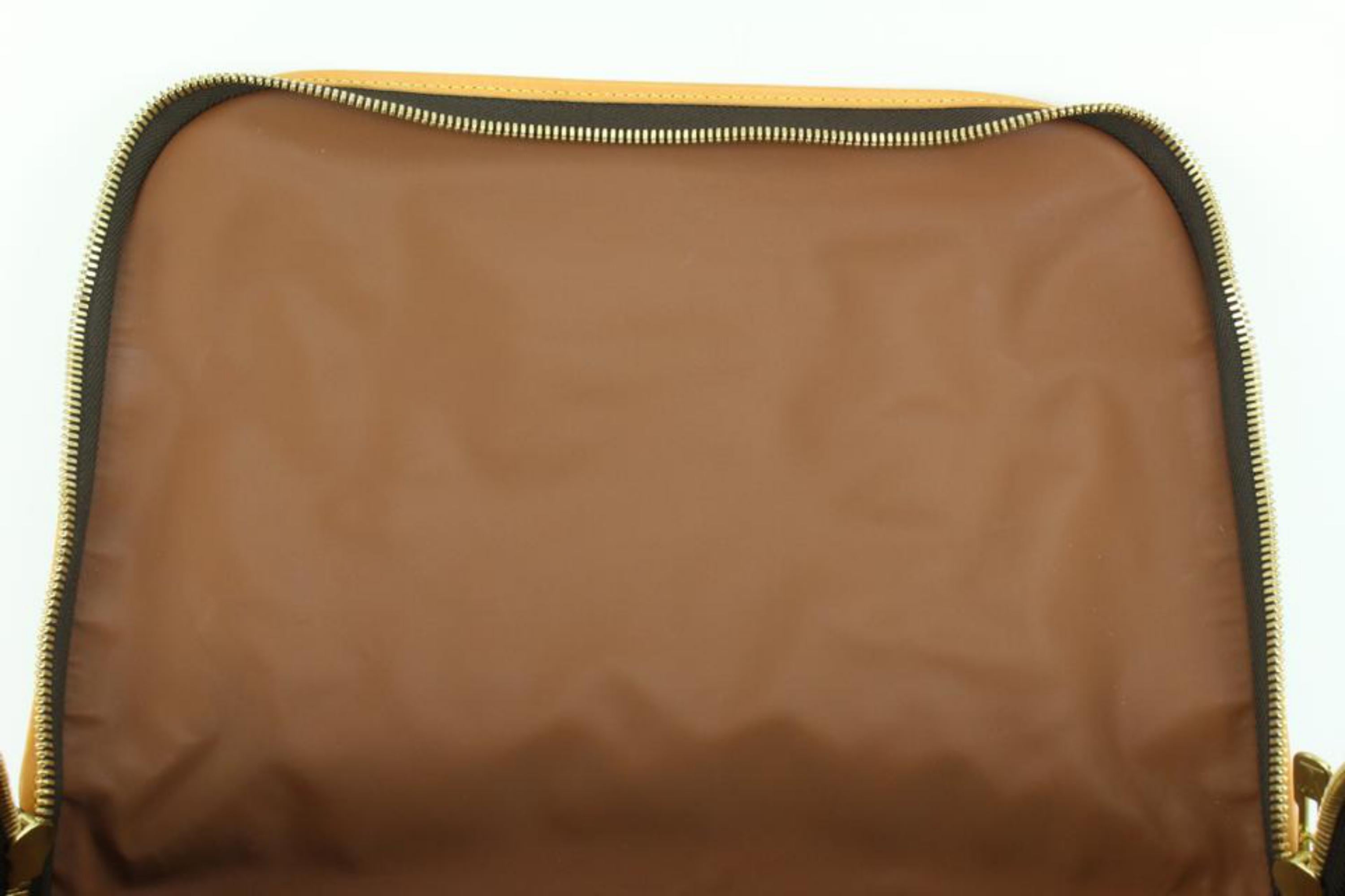 louis vuitton für hunde