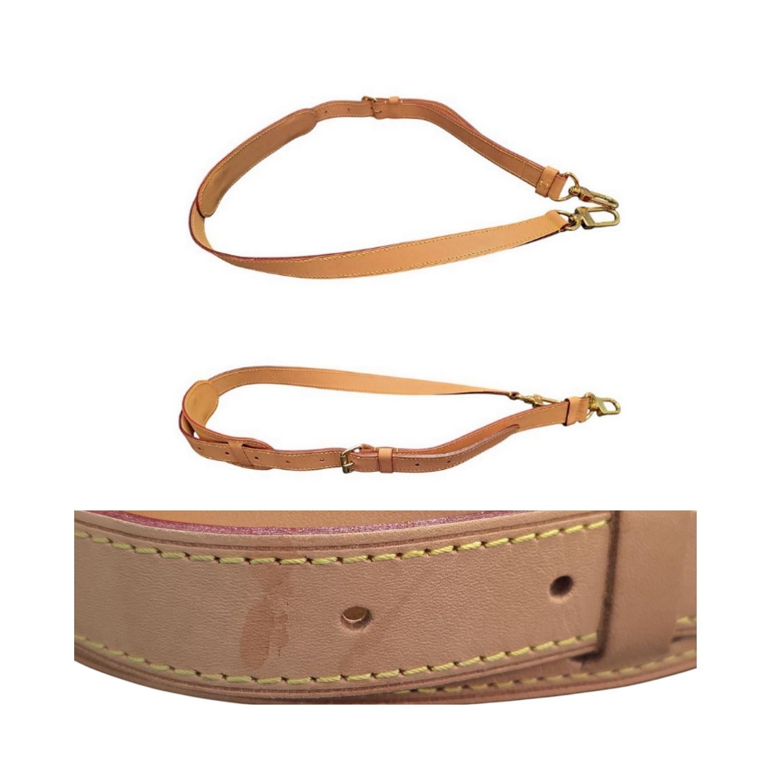 Louis Vuitton Monogram Sac Chien Pet Carrier NM For Sale 4