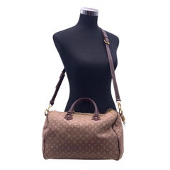 Louis Vuitton Monogram Sepia Mini Lin Idylle Speedy Bandouliere 30 Bag