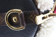 Louis Vuitton Monogram Shearling Speedy Teddy Bandouliere 2LK0412C