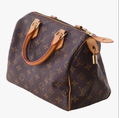Louis Vuitton Monogram Speedy 25 - '00s