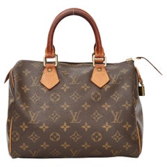 Louis Vuitton Monogram Speedy 25 (2001)