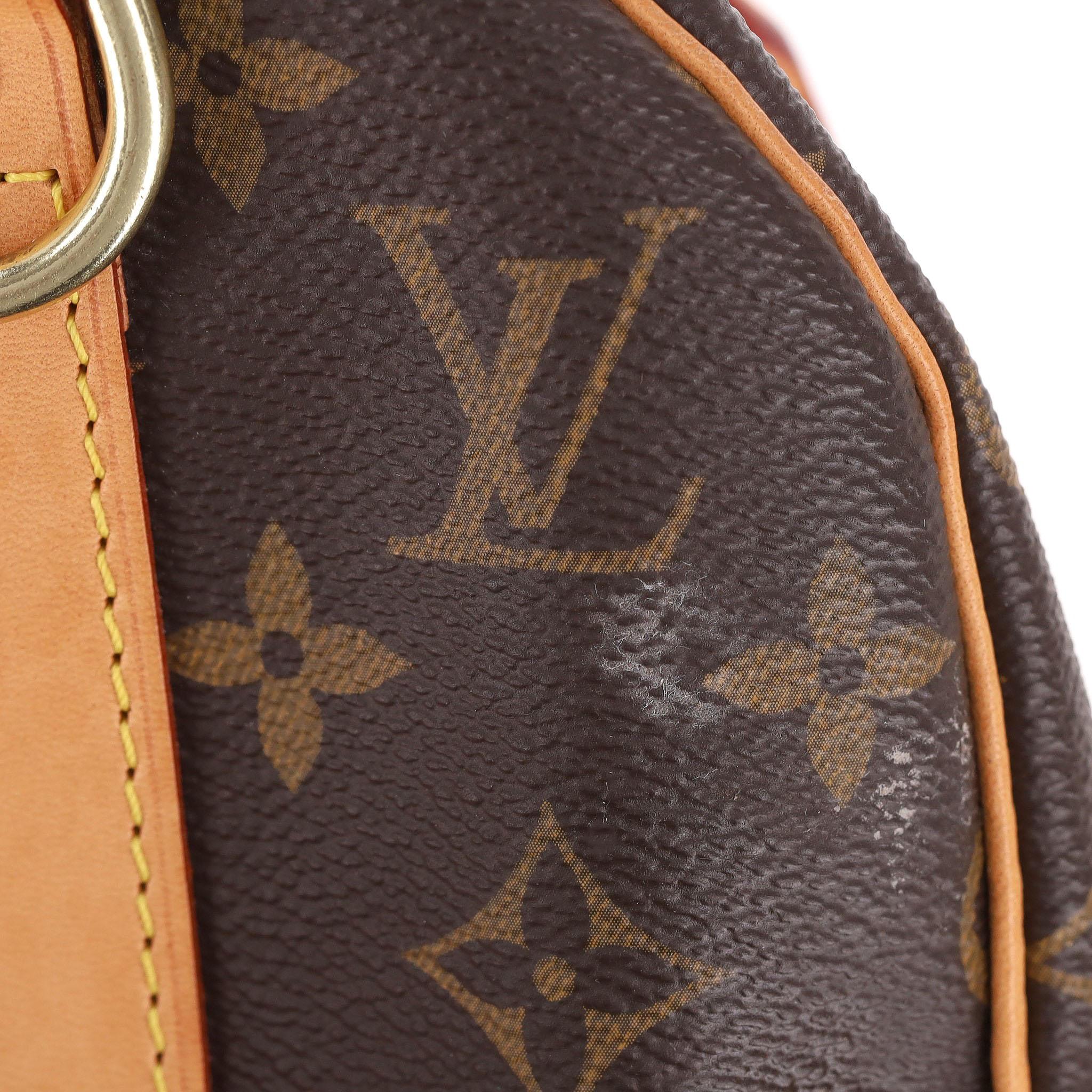 Louis Vuitton Monogram Speedy 25 Coated Canvas Handbag 5