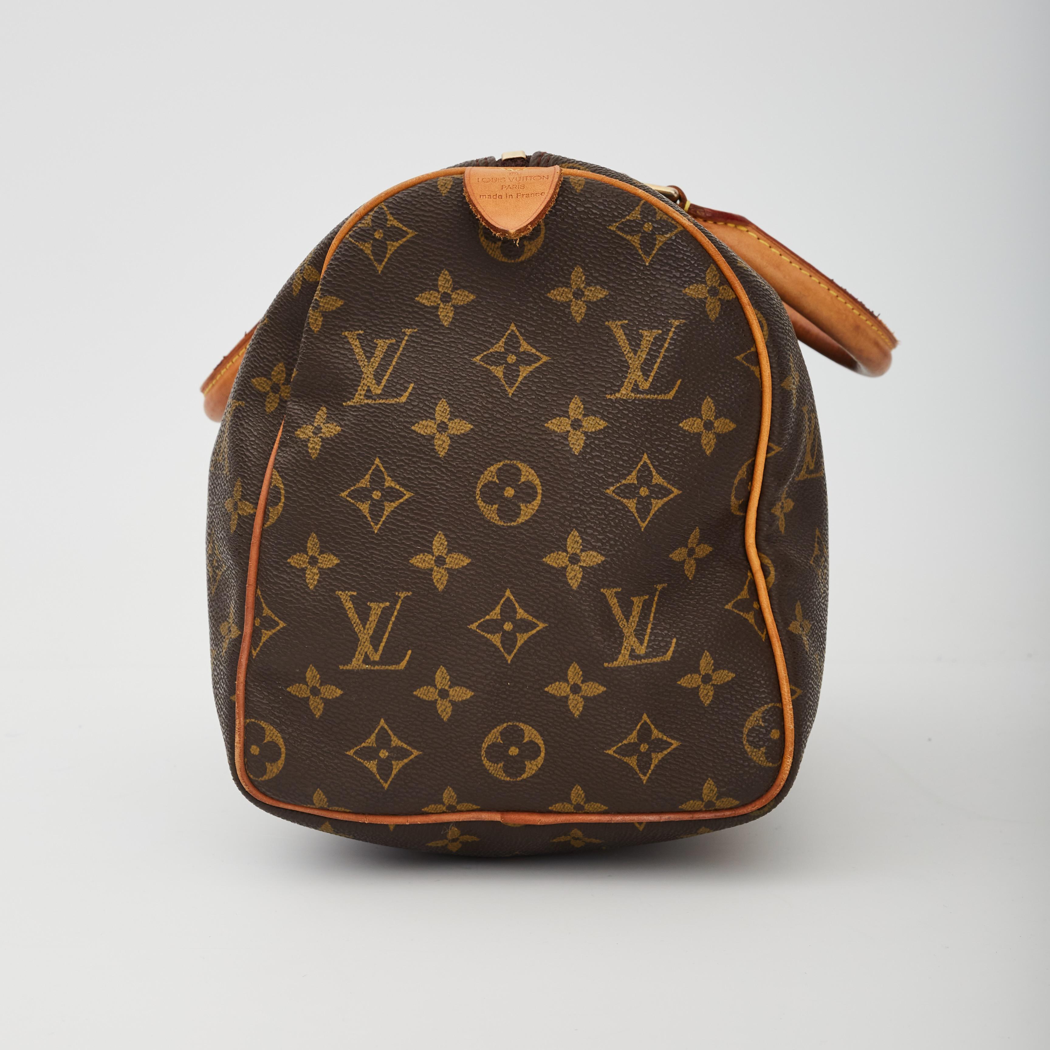 louis vuitton why knot bag