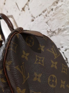 Louis Vuitton Monogram Speedy
