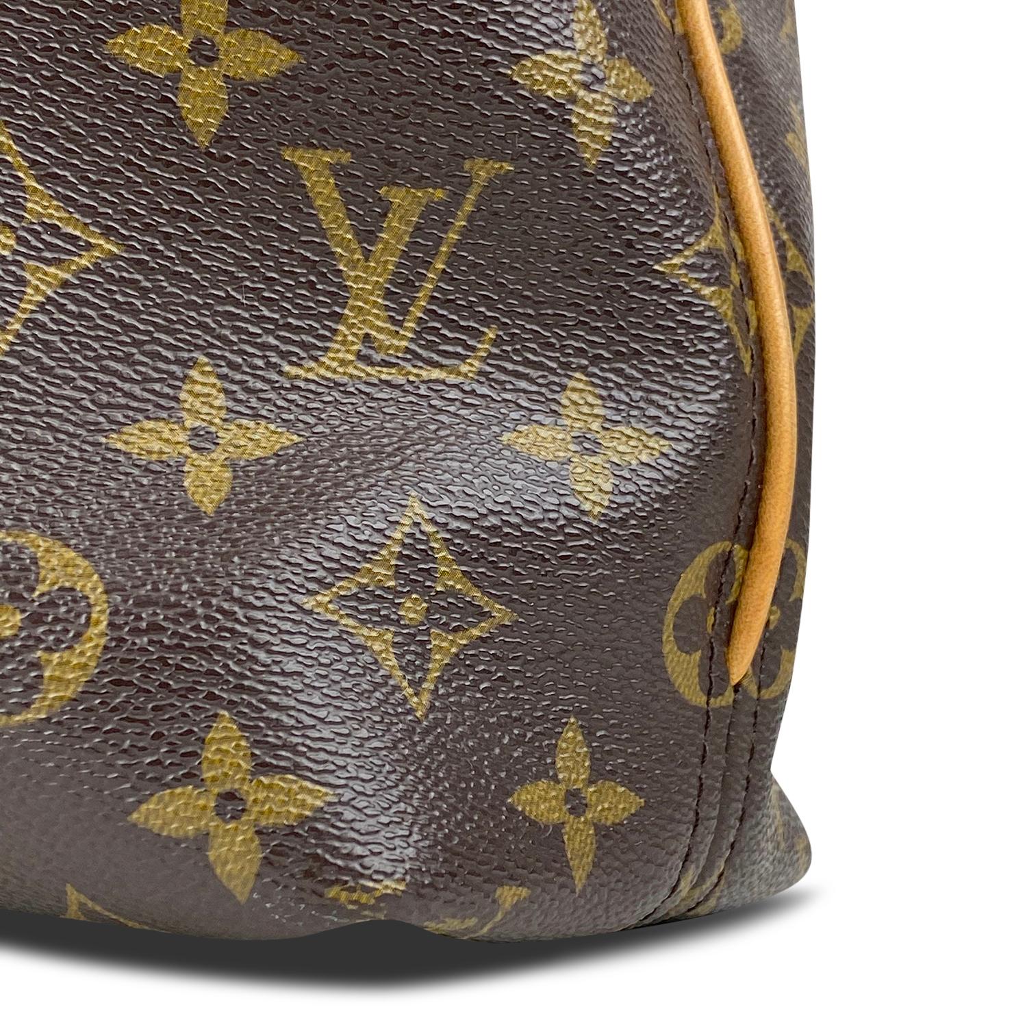 Women's Louis Vuitton Monogram Sully PM Bag