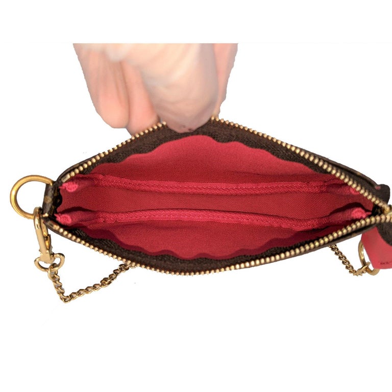 Louis Vuitton Pochette Accessoires Limited Edition Vivienne Xmas Damier  Mini at 1stDibs  louis vuitton strawberry bag, lv pochette limited  edition, louis vuitton limited edition pochette