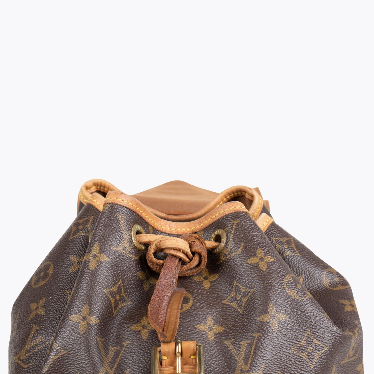 Louis Vuitton Montsouris MM Backpack 5