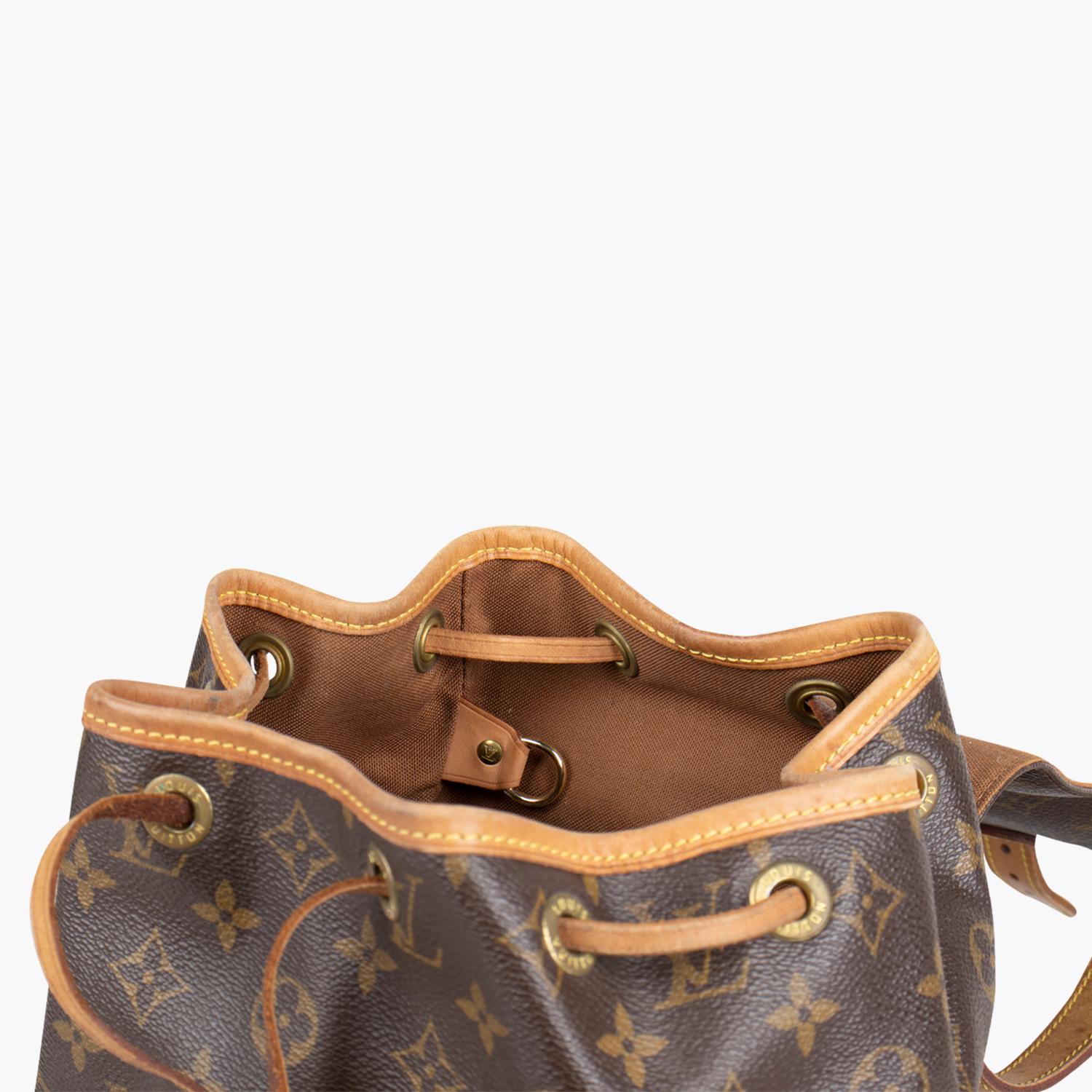 Louis Vuitton Montsouris MM Backpack 6