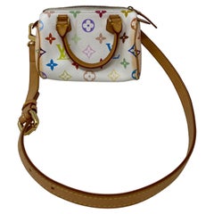 Louis Vuitton Multicolor Mini Speedy Bag