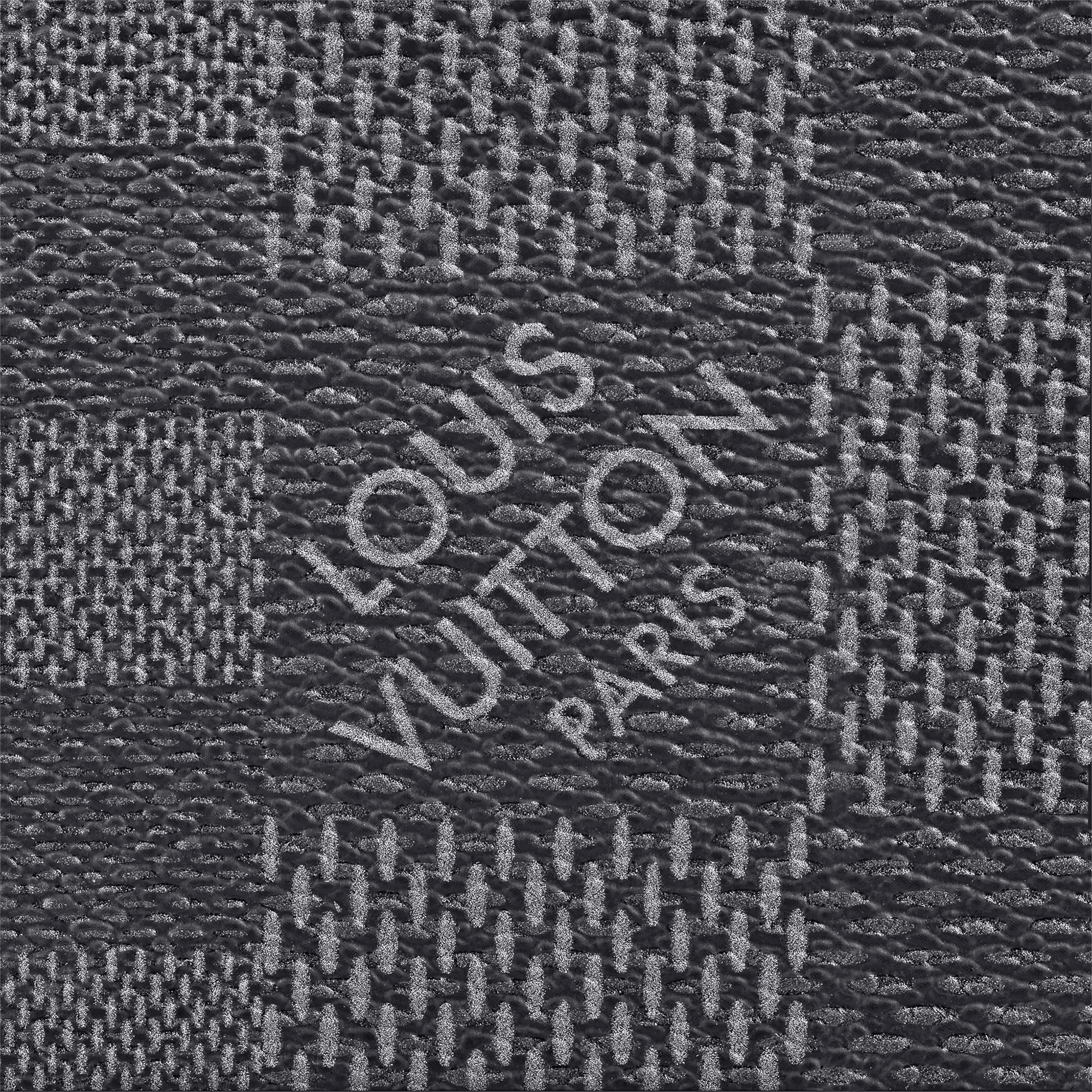 Louis Vuitton  Multiple wallet Gray Damier Graphite 3D canvas For Sale 1