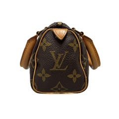 Louis Vuitton Nano Speedy