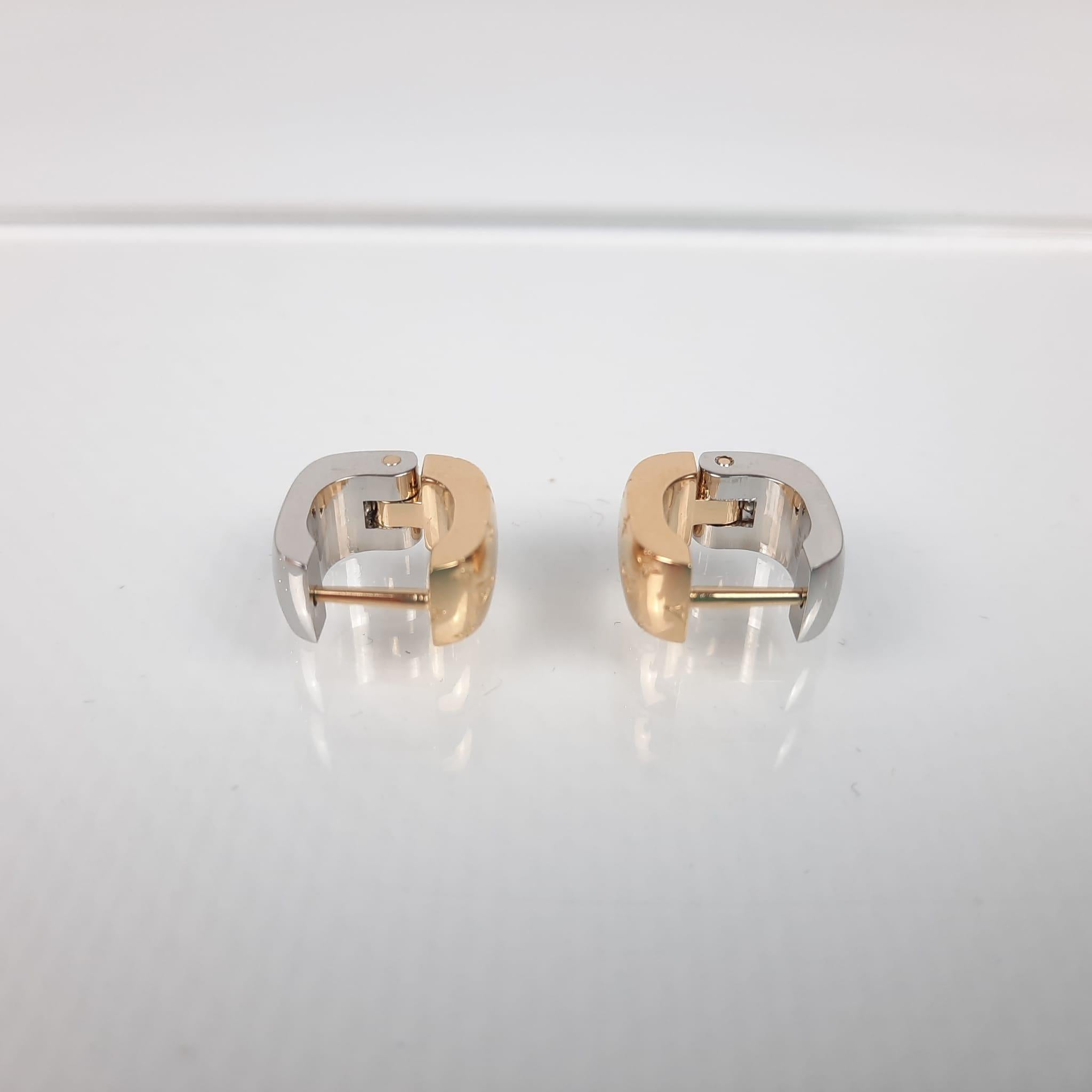 nano gram