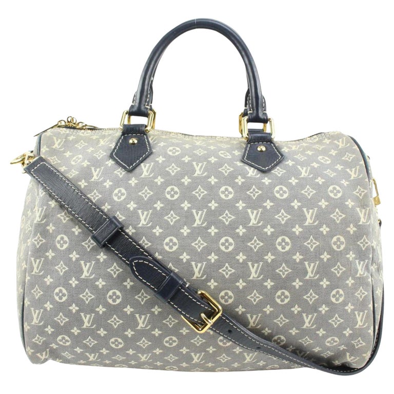 Louis Vuitton Néo Speedy Handbag